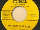 GARAGE PUNK PSYCH Sites N' Sounds THE NIGHT IS SO DARK / T CEI 45 rare
