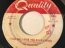 GARAGE PUNK The Haunted I CAN ONLY GIVE YOU EVERYTHING Quality 45 rare Canadian