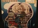 SQUEEZE - THE KNOWLEDGE.  VINYL DOUBLE ALBUM.