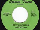 Hazy Midwest Rural Rock ROCK BOTTOM I Don't Understand 45 Space Tune HEAR