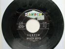 SURFIN b/w LUAU -- Beach Boys -- 1961 -- Label Misprint