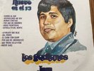 los gavilanes del norte Lp  Nuevo