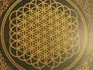 Bring Me The Horizon - Sempiternal Vinyl LP Yellow Patina Rust Vinyl 