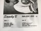 Sandy B-amajovi JOVI Vinyl LP - 2017-CA-Original New 12