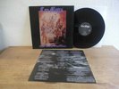 Cro Mags - Near Death Experience LP / Century Media 1993 / Hardcore Metal