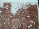 Galaxie 500 Today Vinyl LP. First Press 1988 Aurora Records. Near Mint.