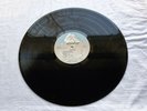 THE RODS  WILD DOGS  Original Press LP MINT- VINYL