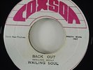 Wailing Soul 