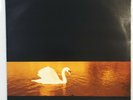 Van Morrison – Avalon Sunset Vinyl LP Polydor 1989 - 839 262-1 USED