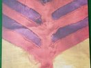 Yeah Yeah Yeahs - Show Your Bones Vinyl Album (2006)