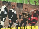 Ultramagnetic MC's Critical Beatdown LP Vinyl Record Sealed New
