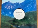 Rare BLUR Promo Only 12” Vinyl Single Sided “country House” Custom Artwork