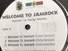 Rare Damian Marley Welcome To Jamrock b/w Lyrical .44 Vinyl 12” Record Promo