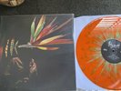 Polyenso - One Big Particular Loop - RARE VINYL