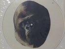 SKID ROW Monkey Business  UK  12