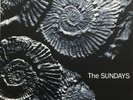 The Sundays vinyl LP Rare record. Reading Writing & Arithmetic. 1st Aust. Press.