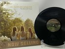 Au Revoir Simone - The Bird Of Music Vinyl LP OOP RARE