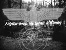 DEAD REPTILE SHRINE ?– A Journey Through The Darkest Of Forests, black metal DLP