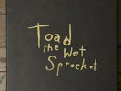Toad the Wet Sprocket - Box Set - 5xLP