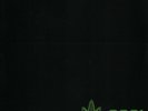Dr. Dre ?– 2001 Vinyl 2x LP Album 00602577656897 Reissue Europe 2019