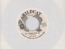 LYRICS Oh Please Love Me/The Girl I Love 1962 Doo Wop PROMO WILDCAT 45 W-0028