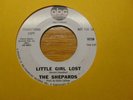 The Shepards-ABC Promo 45-Little Girl Lost-Nice Soul 45
