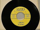 I found You b/w Hey There - The Castaways - Astra 1002  45 VG+  Mad Mike Moldie