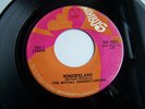 Monster Rare Canada Rock 45 *The Mutual Understanding* Wonderland  Nimbus 9003