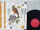 DORATI TCHAIKOVSKY 1812 PHILIPS FH-7 Japan AUDIOPHILE VINYL LP