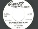 GARAGE/PSYCH/OBSCURE ROCK 45  The Trashmen  Garrett  4010  *promo*