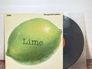 Lime Unexpected Lovers Vinyl Record Original Pressing 1985 Disco Synth Pop House