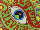 13TH FLOOR ELEVATORS PSYCHEDELIC SOUND OF + EASTER EVERYWHERE - STEREO & MONO