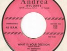 Doo Wop THE HARPTONES What Is Your Decision / Gimmie Some ANDREA Rare 45