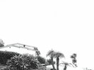 Timber Timbre - Hot Dreams / Vinyl LP limited edition on CLEAR presale