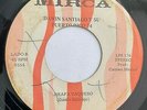 DAWIN SANTIAGO Y SU PUERTO RICO 74 - Jirafa Vaquero - RARE GUAJIRA GUAGUANCO 45