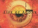 LIFE OF AGONY - Soul Searching Sun - Vinyl (LP)