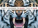 This Is War * [LP] by 30 Seconds to Mars (Vinyl, Dec-2009, 2 Discs, Virgin Recor