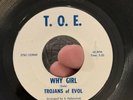 Indiana Garage punk 45 TROJANS OF EVOL Through The Night /Why Girl OG TOE VG/VG+