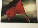Thin Lizzy - Renegade - Used Promo LP - 1981 US Warner Bros BSK 3622 - NM Vinyl