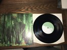 The Promise Ring “wood/water” 2 10 vinyl records Emo
