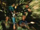 Creedence Clearwater Revival - Bayou Country Vinyl