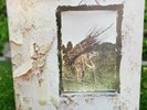 Led Zeppelin IV 1971 Vinyl LP US 1st Press AT/GP Pecko Duck SD 7208 EX