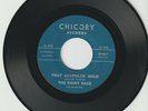 RAINY DAZE -THAT ACAPULCO GOLD b/w IN MY MIND LIVES A FOREST- GARAGE ROCK 45 RPM