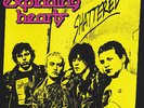 EXPLODING HEARTS 'Shattered LP DIRTNAP Green spider babies spits gentleman jesse