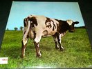 PINK FLOYD Atom Heart Mother HARVEST SKAO-382 ?RARE SMAS STICKER? SEALED SHRINK