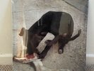 Slowthai - Runt EP 12