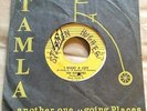 The Supremes - I Want a Guy/Never Again 45 Tamla orig. w/company sleeve VG HEAR