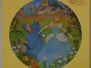 Walt Disney's Cinderella Picture Disc Soundtrack 1981 Disneyland 3107 NM