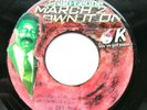 The Hippy Boys ?– Apollo 12 / In Crowd - Reggae JA Lunar blank