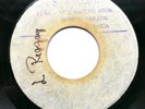 The Maytones ?- Loving Reggay - Reggae 45 JA GG's blank